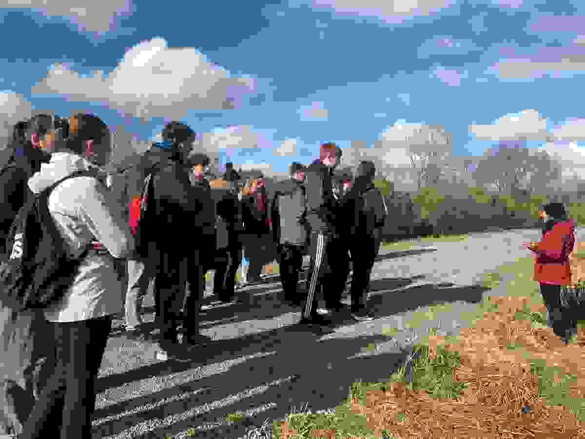 Section image