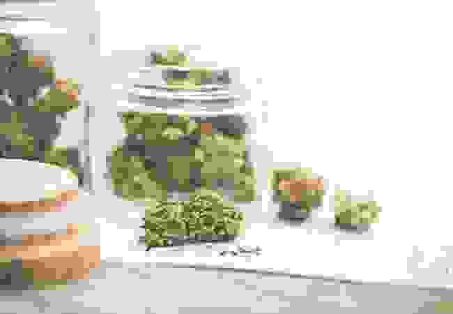 broken image