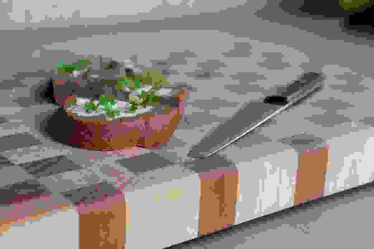 broken image