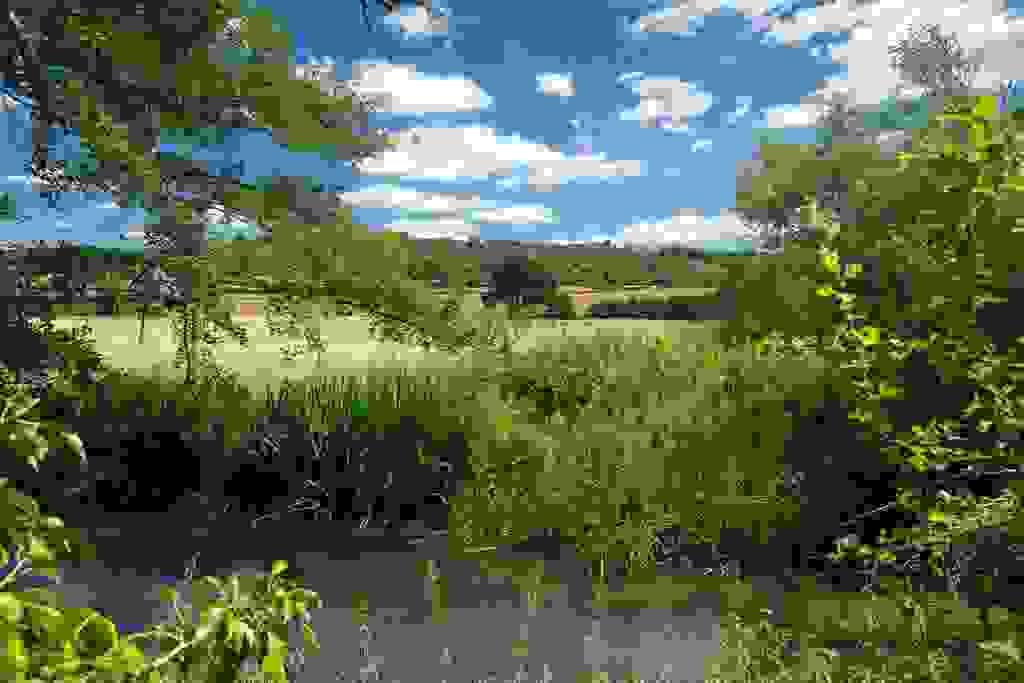Section image