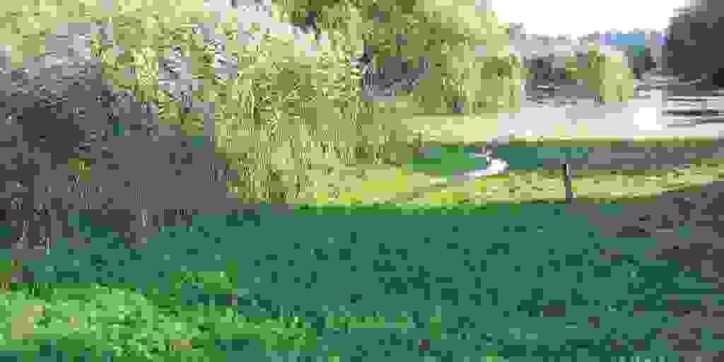 Section image
