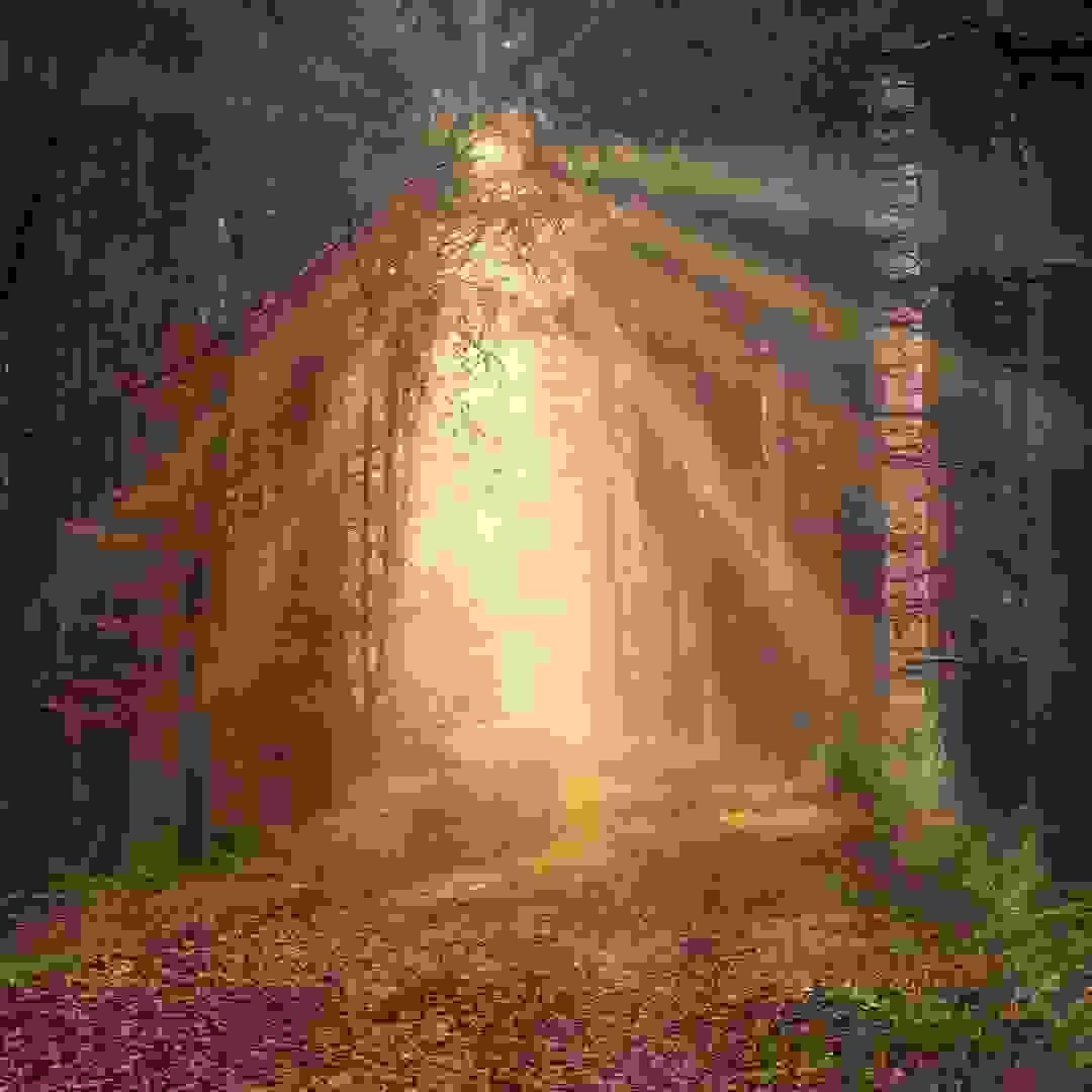 Section image