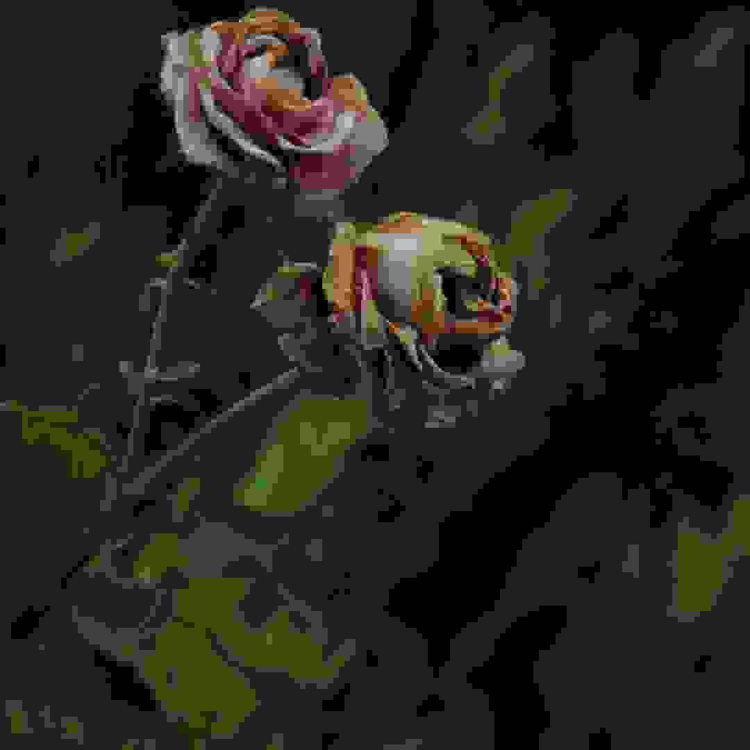 Section image