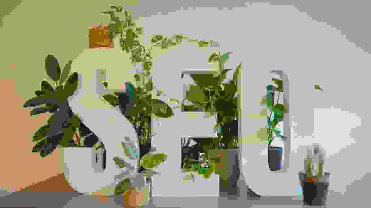 Section image