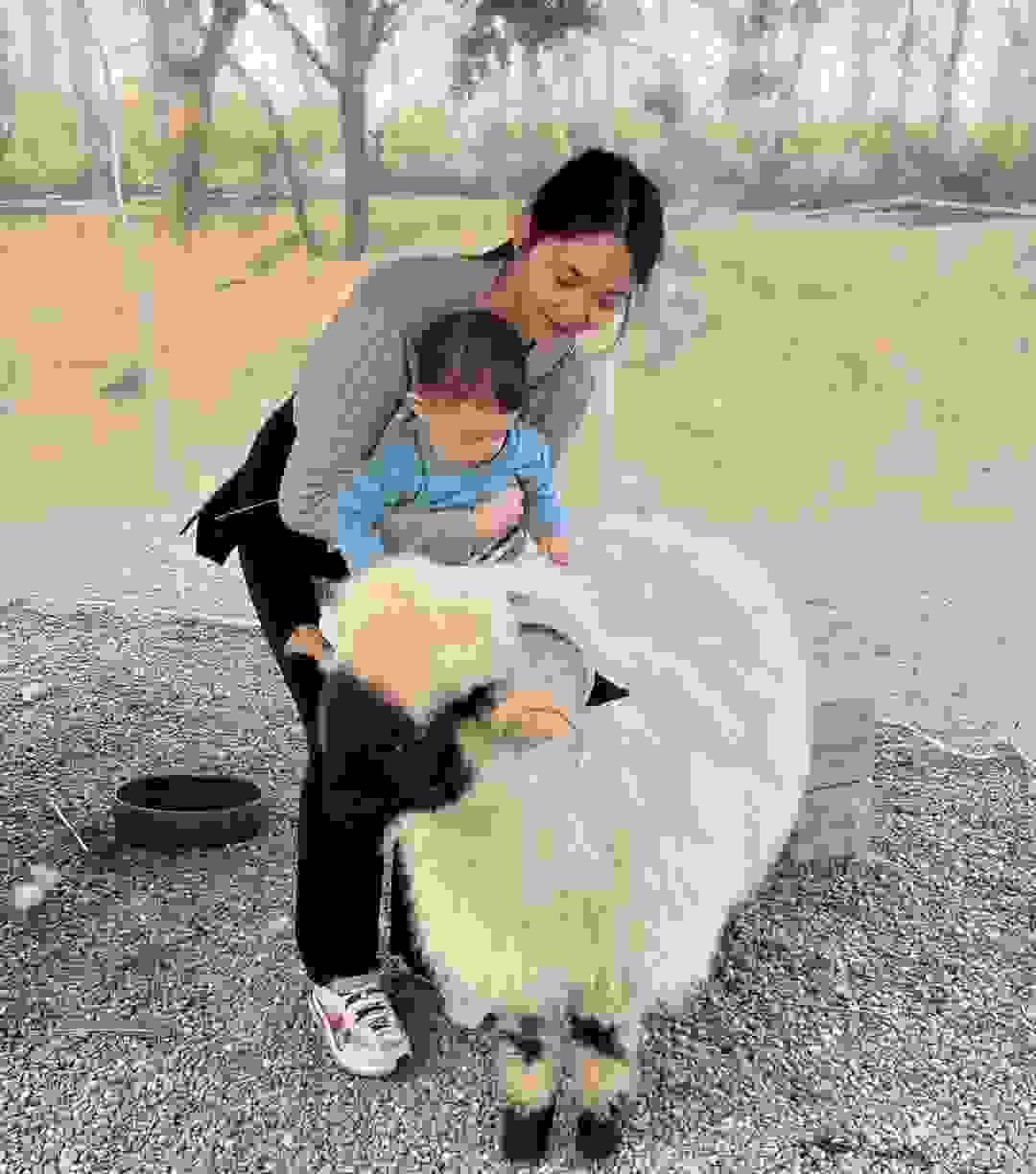 broken image