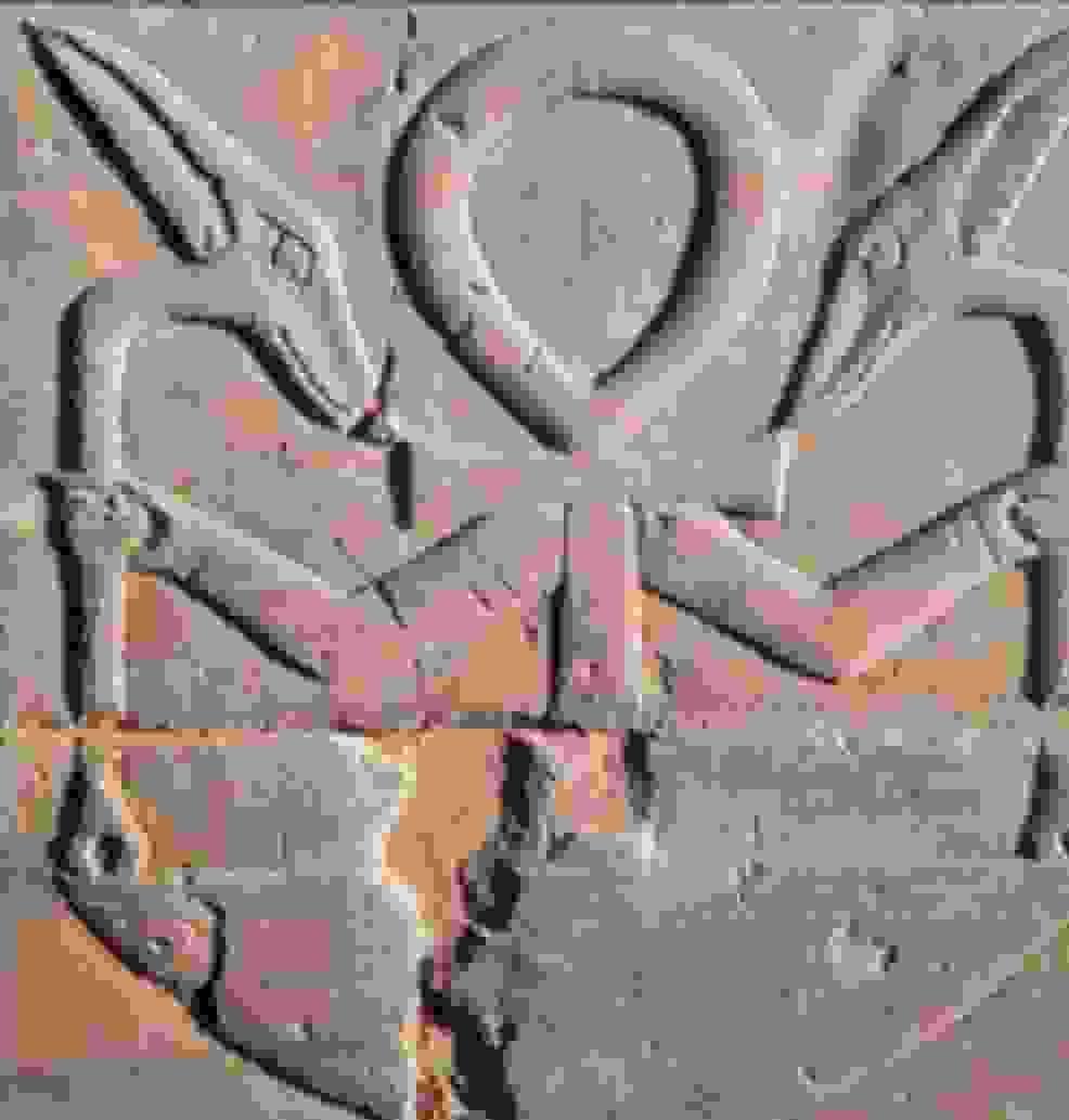 Section image