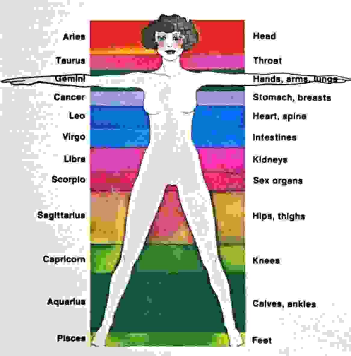 Section image