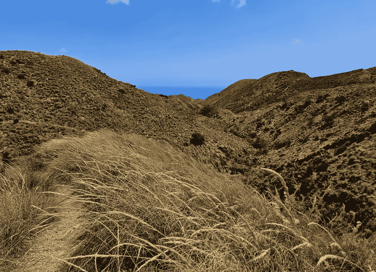 Section image