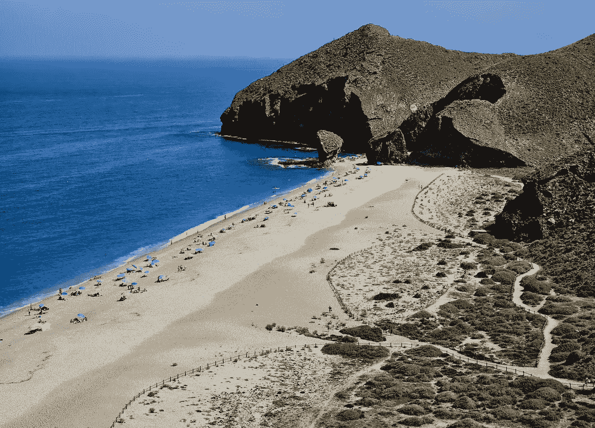 Section image