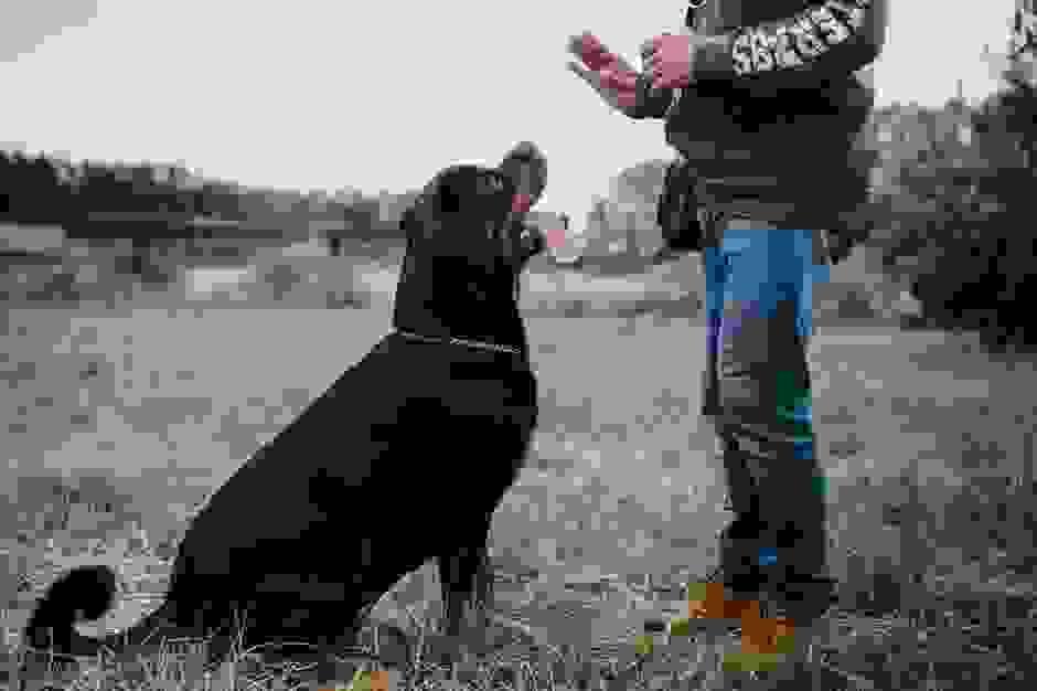 broken image
