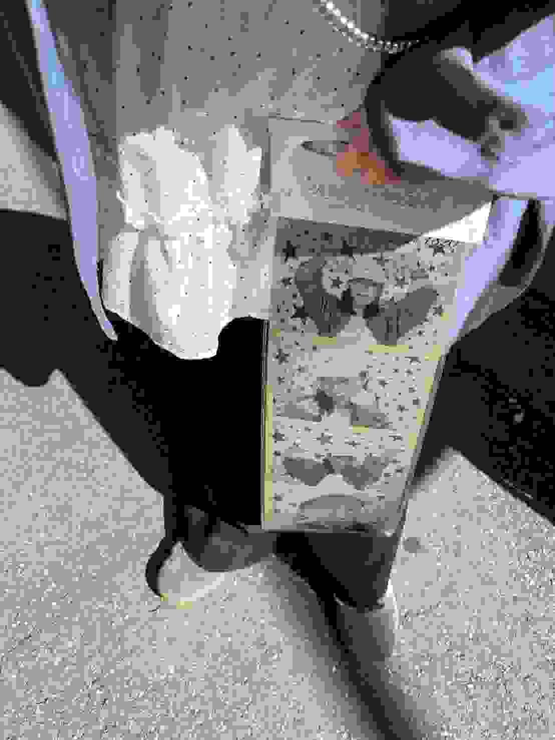 Section image