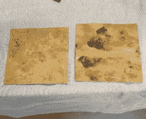 Section image