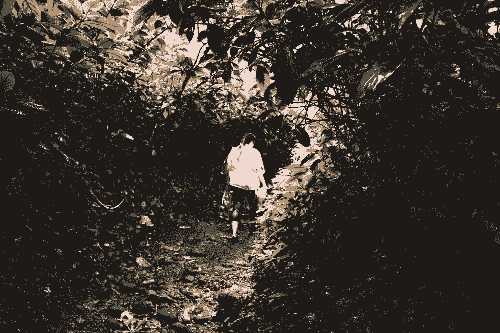 Section image