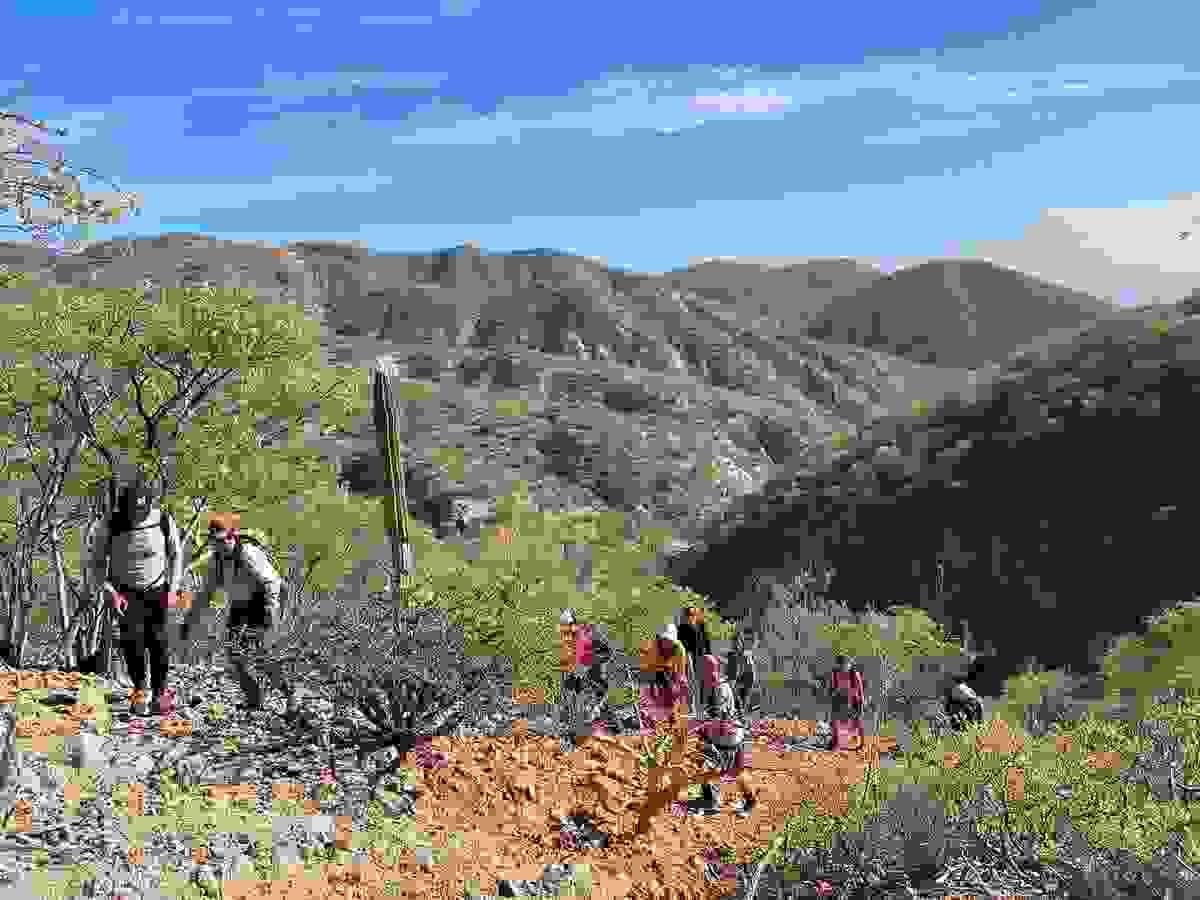 Section image