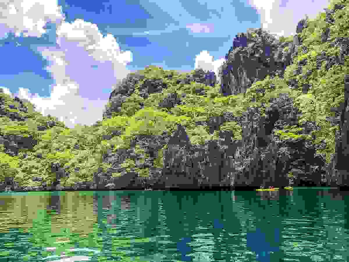 Section image
