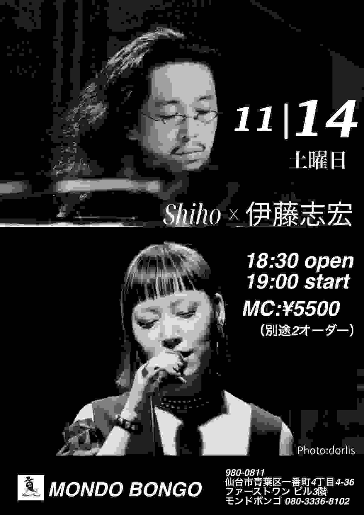 Shiho 伊藤志宏