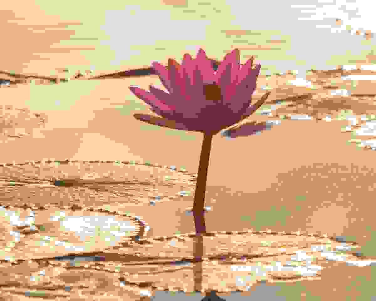 coach ménopause Nice, accompagnement préménopause Nice, spécialiste ménopause Alpes-Maritimes coach ménopause Nice, accompagnement préménopause Nice, spécialiste ménopause Alpes-Maritimes