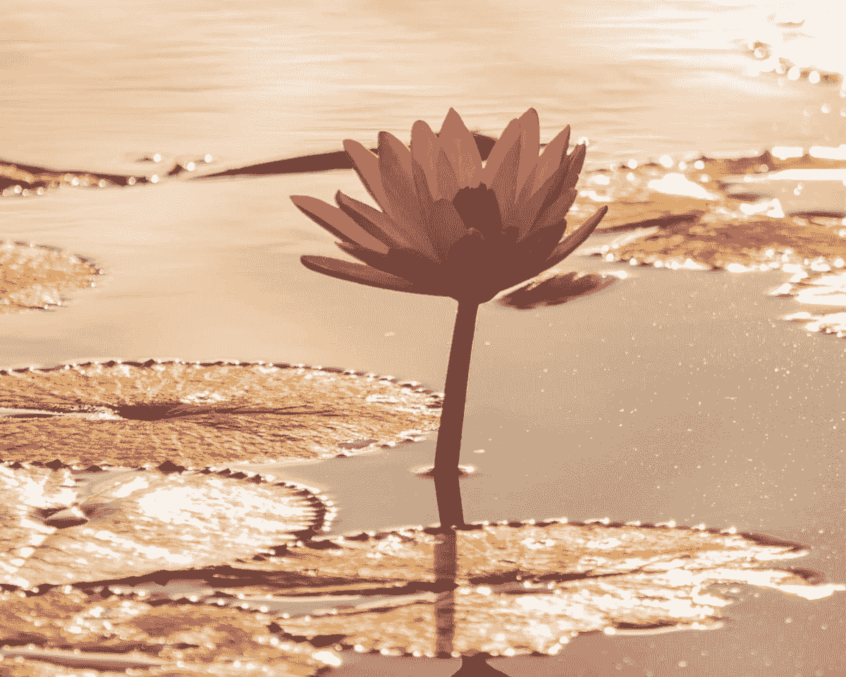 coach ménopause Nice, accompagnement préménopause Nice, spécialiste ménopause Alpes-Maritimes coach ménopause Nice, accompagnement préménopause Nice, spécialiste ménopause Alpes-Maritimes