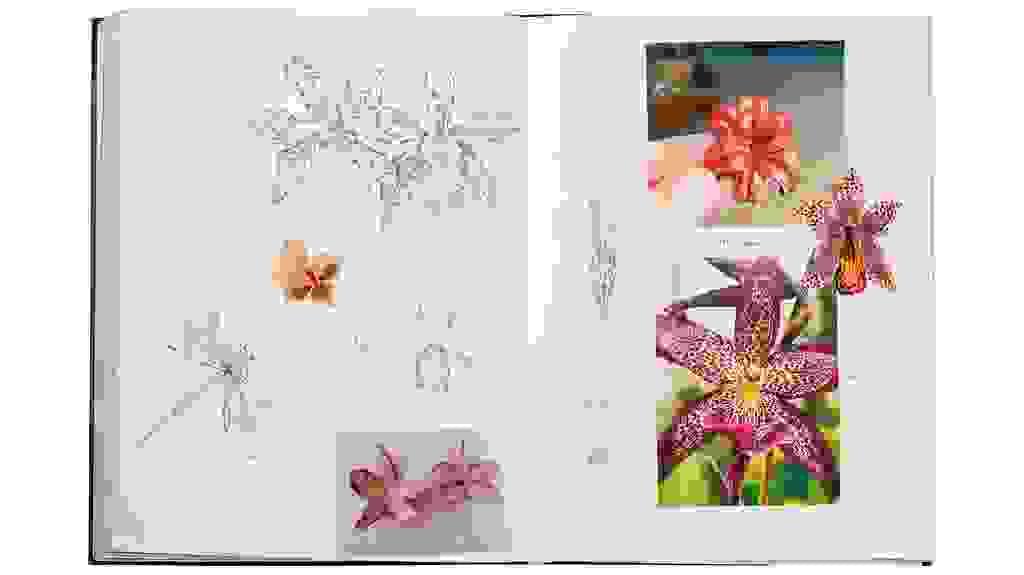 Section image