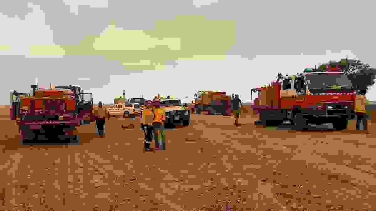 Section image
