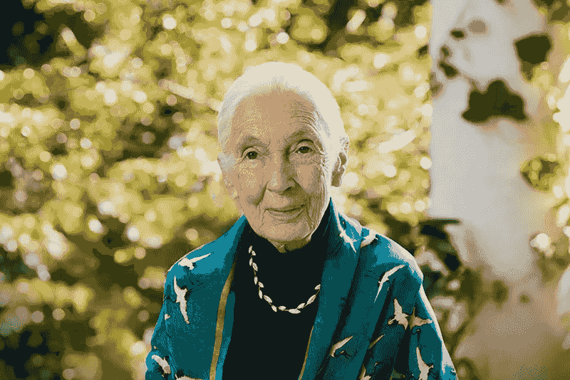 Dr. Jane Goodall wearing Brilliant Earth’s eco-friendly jewelry crafted with lab-grown diamonds.