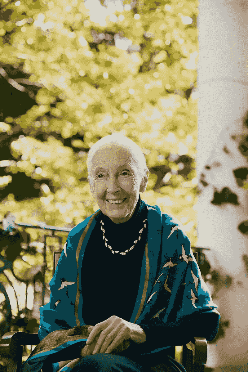 Dr. Jane Goodall models Brilliant Earth’s limited-edition lab-grown diamond jewelry collection.