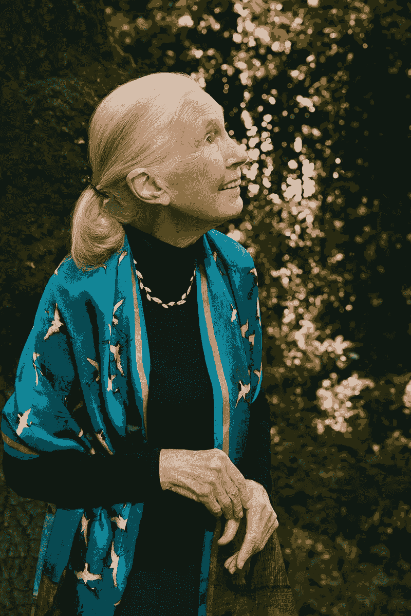 Dr. Jane Goodall showcases Brilliant Earth’s ethical jewelry collaboration, featuring lab-grown diamonds.