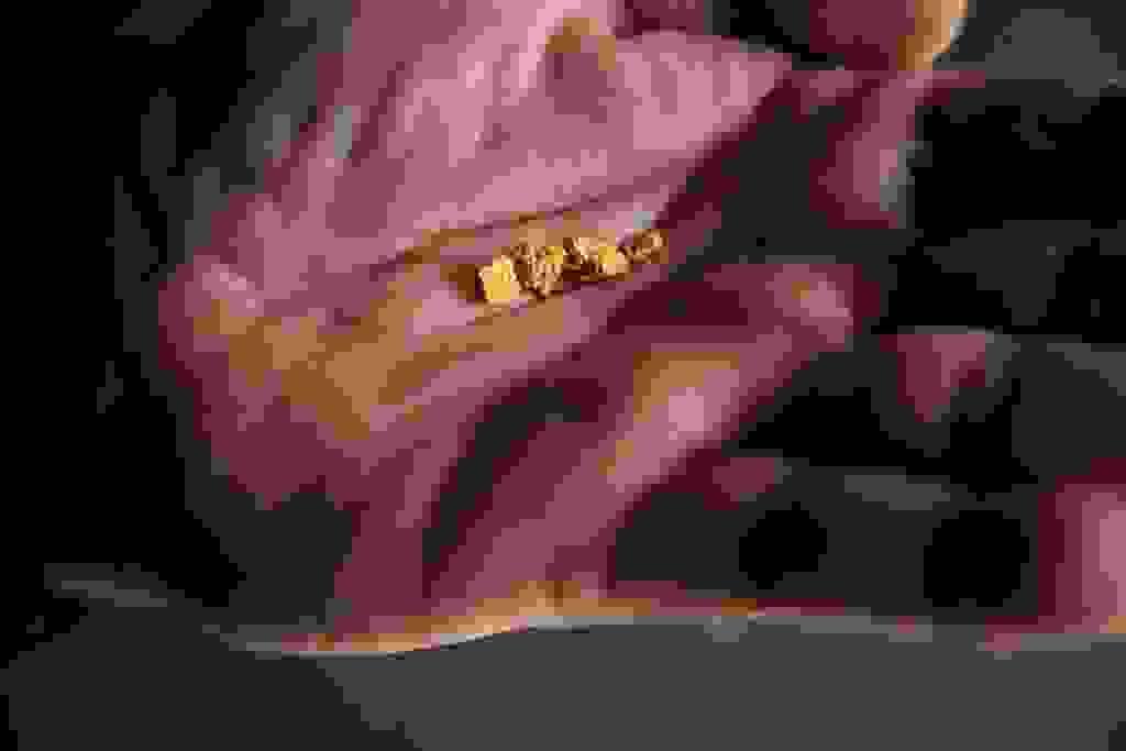 Section image