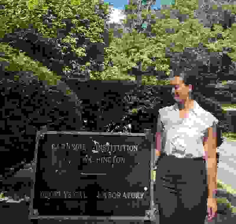 Section image