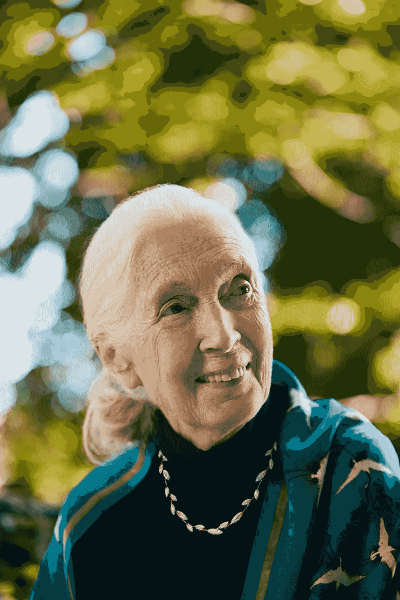 Dr. Jane Goodall wears Brilliant Earth’s new sustainable jewelry with lab-grown diamonds.
