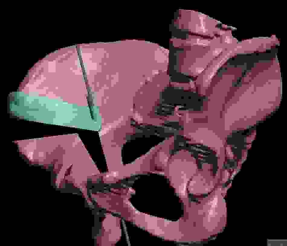 Section image