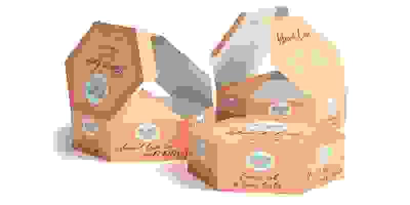 broken image