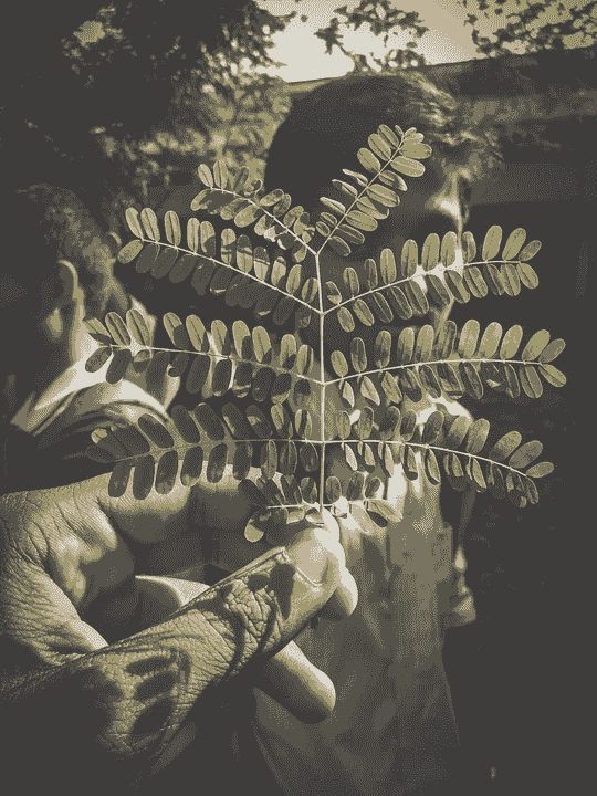 Empower Your Community Today Join the Movement for Regenerative Futures PACT | Project Access Capital Trust
Pact is the first working instance of a Participatory Capital Trust — a slow capital pool enabling people to pre-seed, grow, and commission projects for a regenerative future.
PURPOSE
To establish a Commissioning Fund for Regenerative Futures — a mutual, ethically stewarded capital vehicle that empowers individuals and communities to pre-invest in their own capacity to shape the world they need.
Grounded in trust and reciprocity, the fund supports the design, building, and activation of regenerative, high-quality projects — across building, education, product systems, and social infrastructure.
It enables collaborative efforts to grow financial dignity, design justice, and resilient infrastructure — without falling back on extractive finance or speculative development cycles.
This is not an alternative fund. It’s a quiet revolution in how futures are resourced — and who gets to shape them. We do. Empower Your Community Today Join the Movement for Regenerative Futures PACT | Project Access Capital Trust
Pact is the first working instance of a Participatory Capital Trust — a slow capital pool enabling people to pre-seed, grow, and commission projects for a regenerative future.
PURPOSE
To establish a Commissioning Fund for Regenerative Futures — a mutual, ethically stewarded capital vehicle that empowers individuals and communities to pre-invest in their own capacity to shape the world they need.
Grounded in trust and reciprocity, the fund supports the design, building, and activation of regenerative, high-quality projects — across building, education, product systems, and social infrastructure.
It enables collaborative efforts to grow financial dignity, design justice, and resilient infrastructure — without falling back on extractive finance or speculative development cycles.
This is not an alternative fund. It’s a quiet revolution in how futures are resourced — and who gets to shape them. We do.