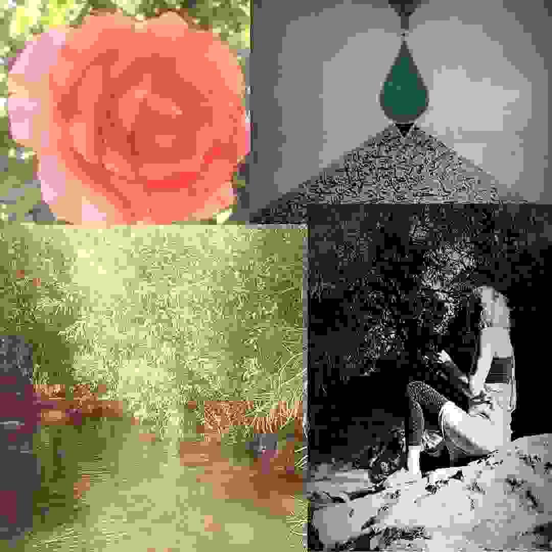 Section image