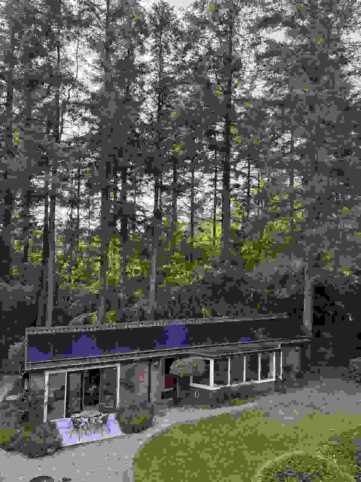 Section image