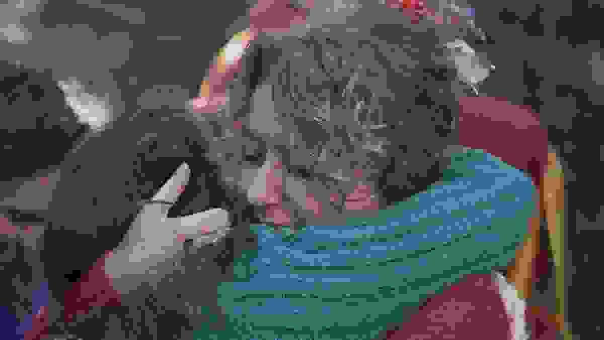 broken image