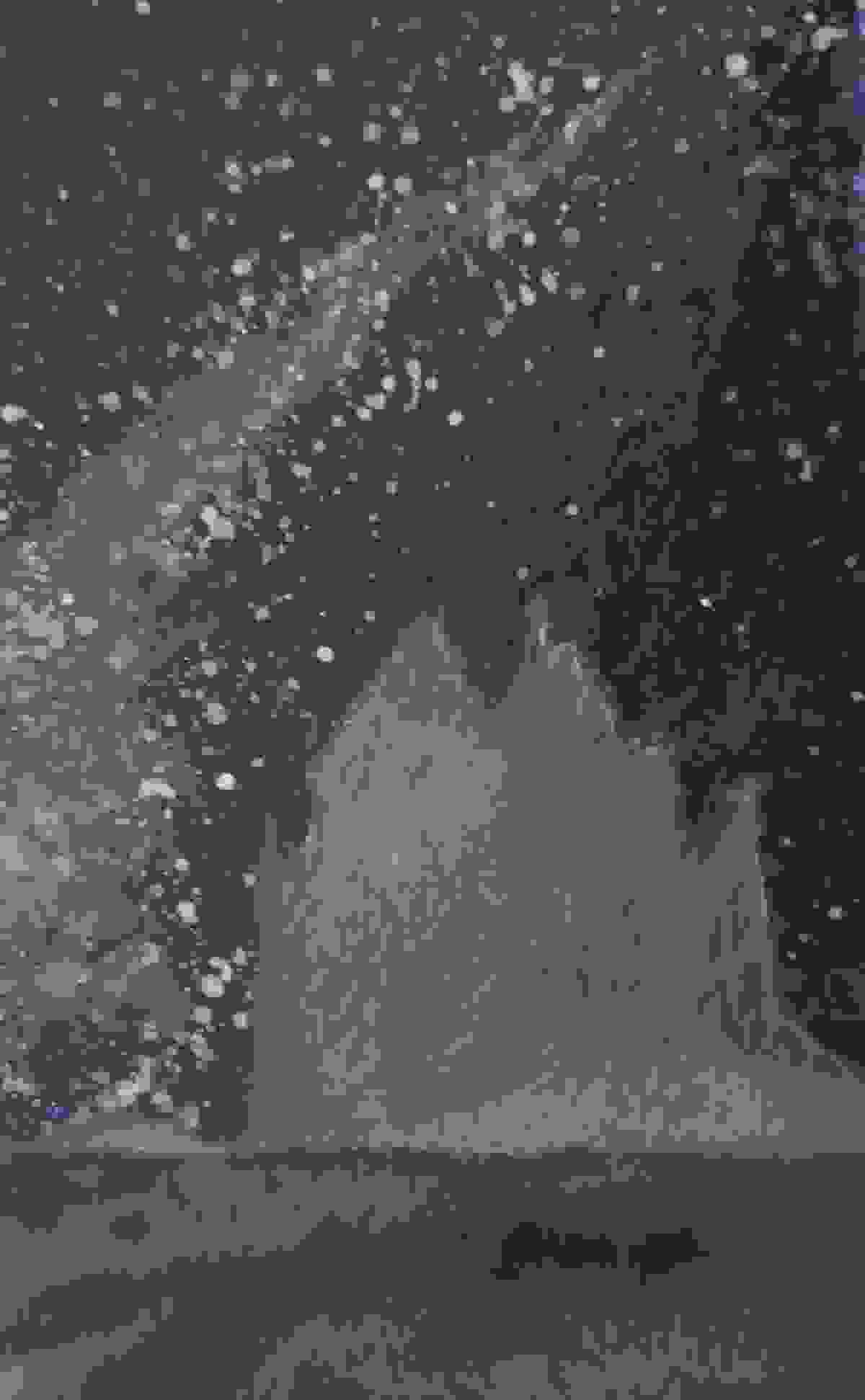 Section image