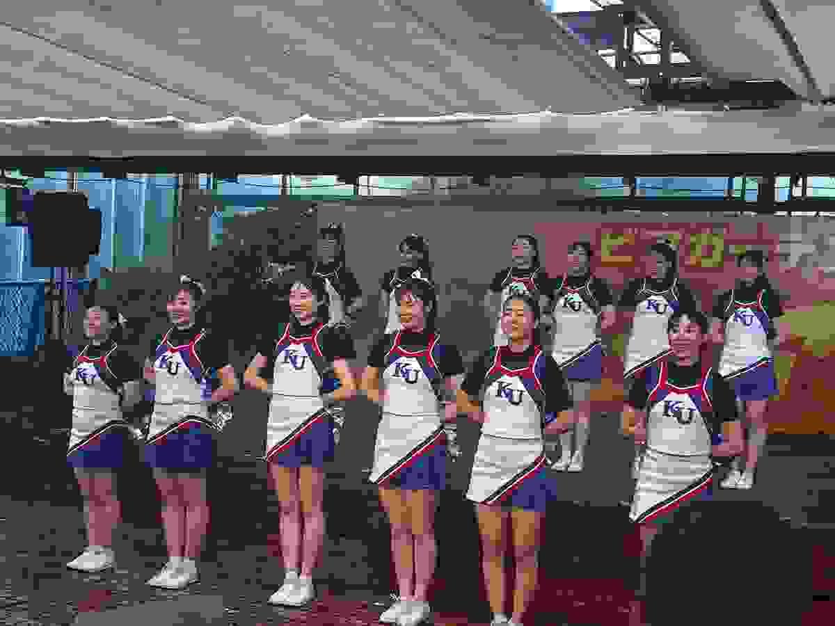 broken image