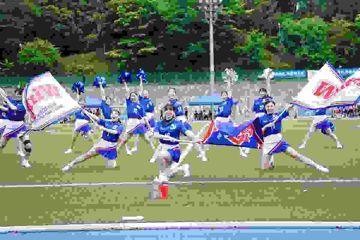 broken image