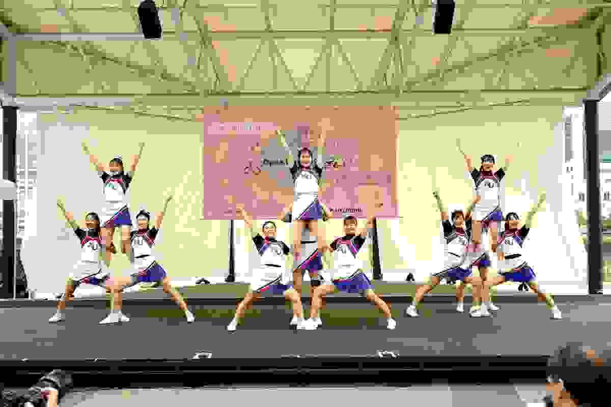 broken image