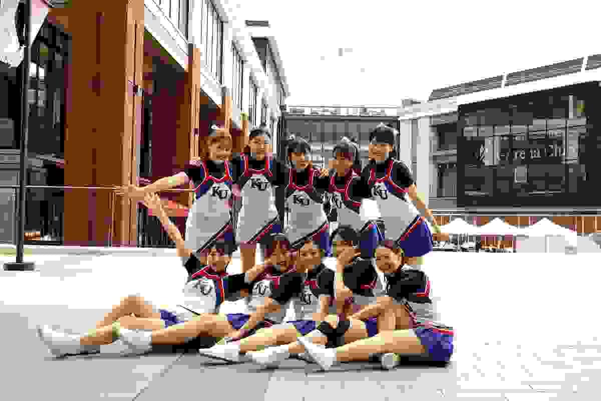 broken image