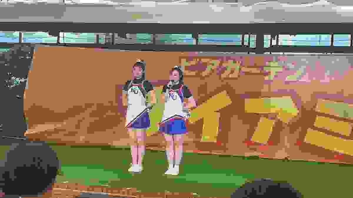 broken image
