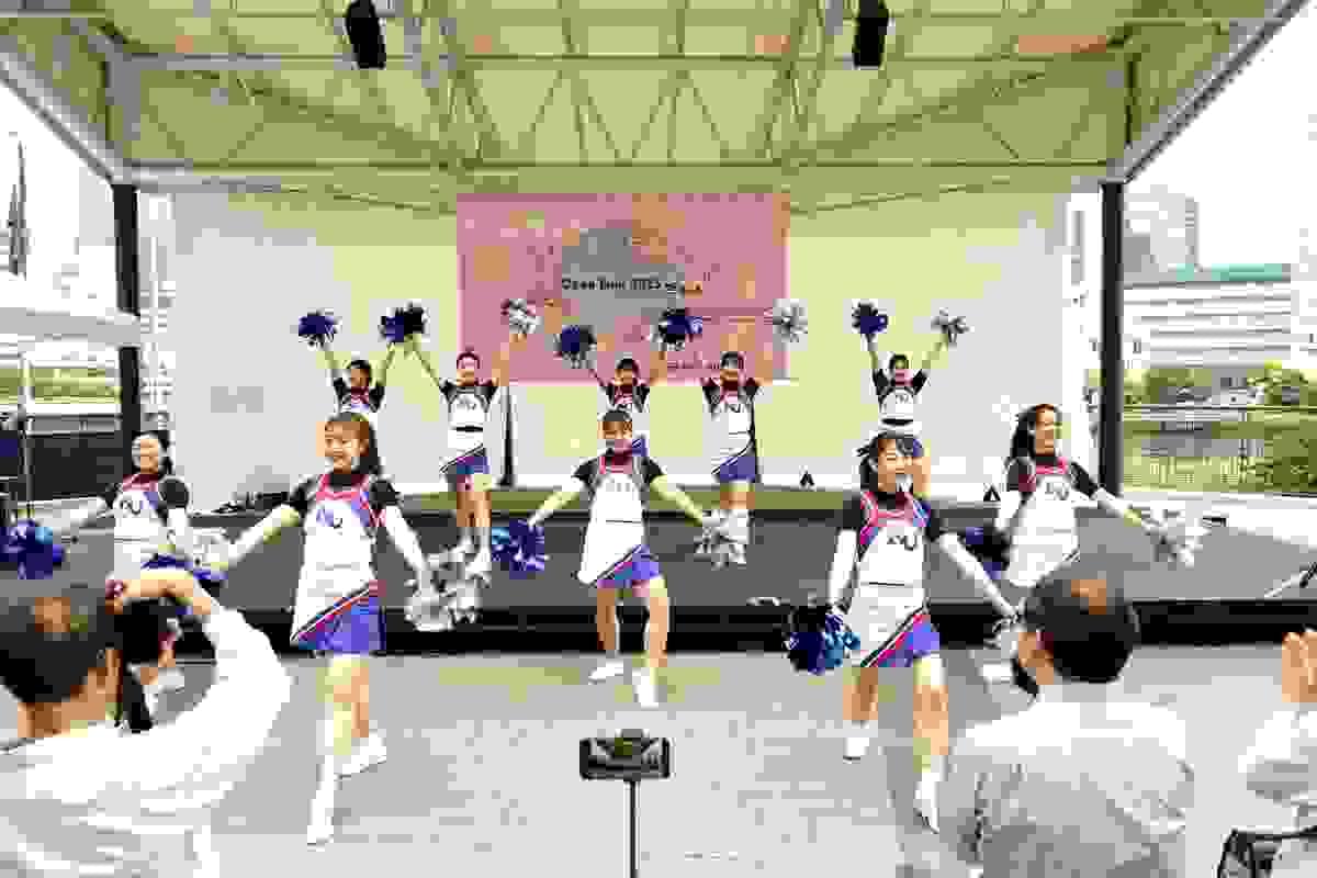broken image