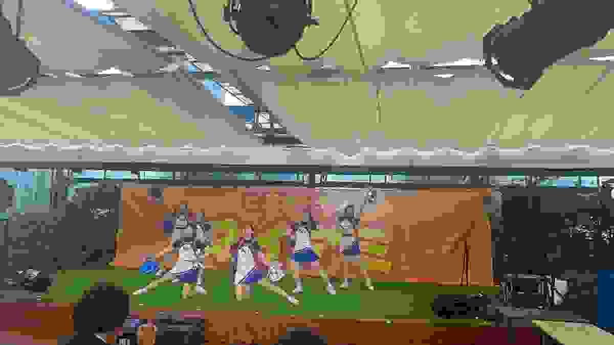 broken image