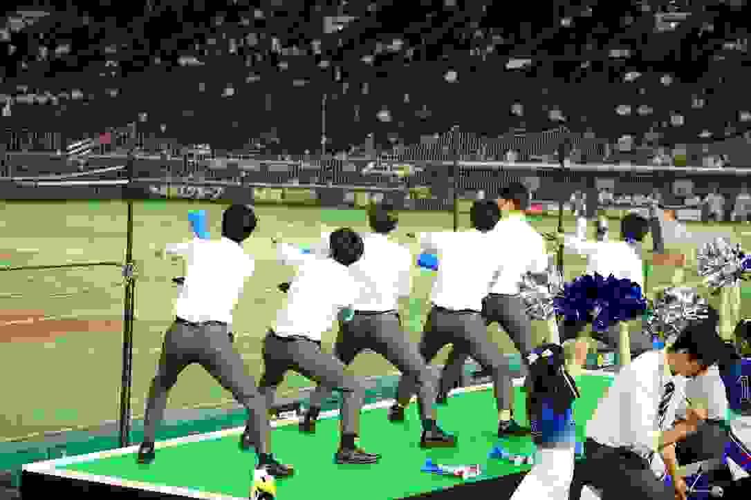broken image