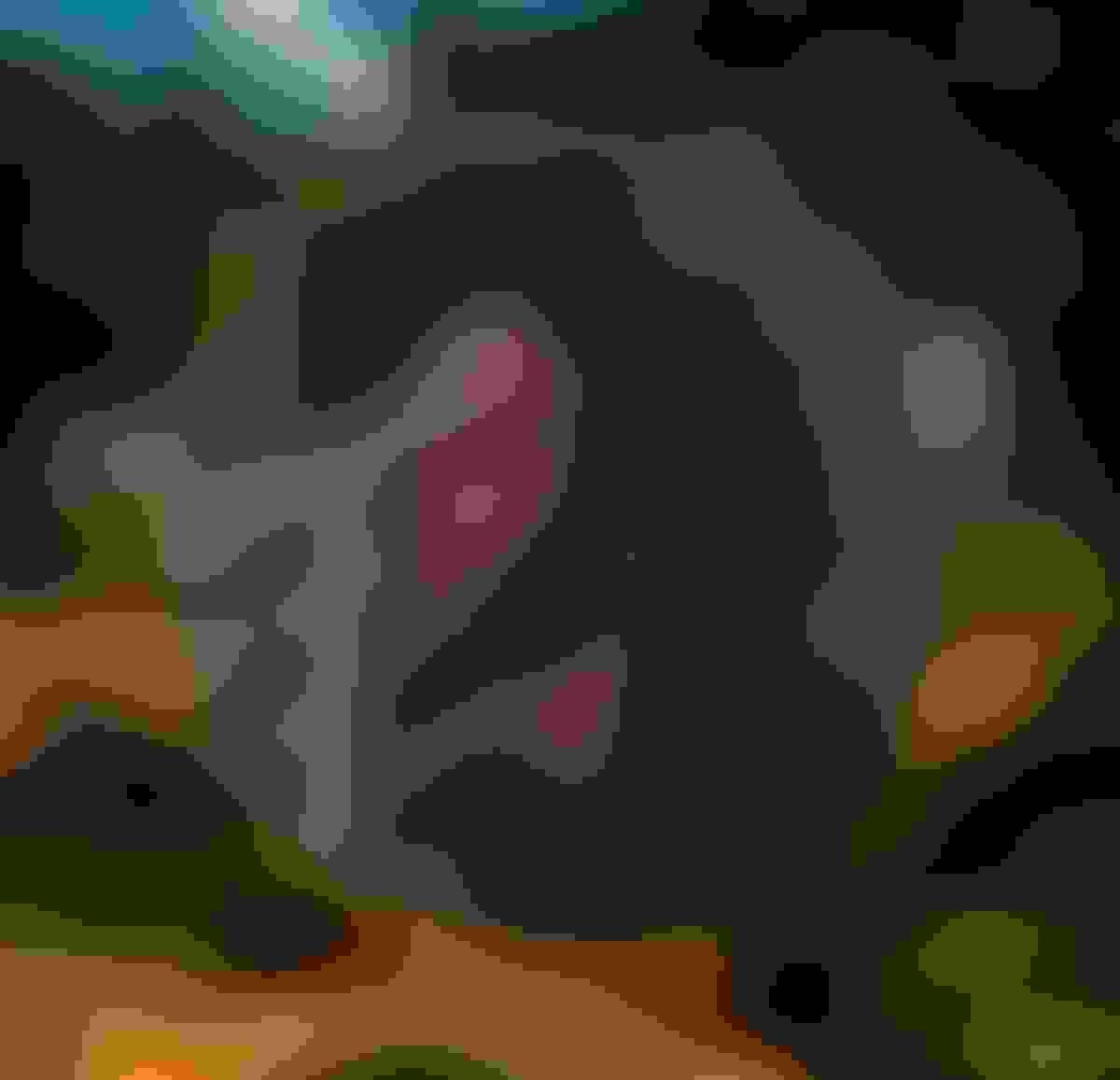 Section image