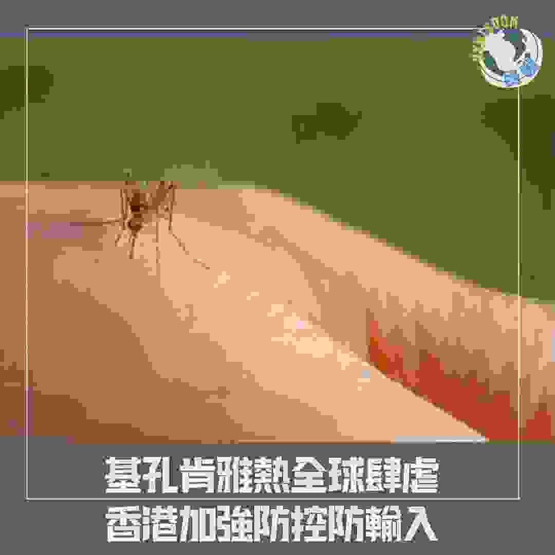 broken image