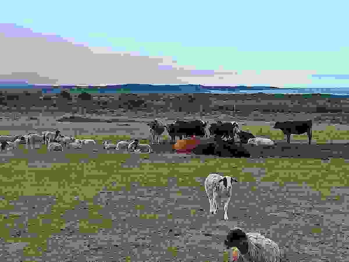 Section image