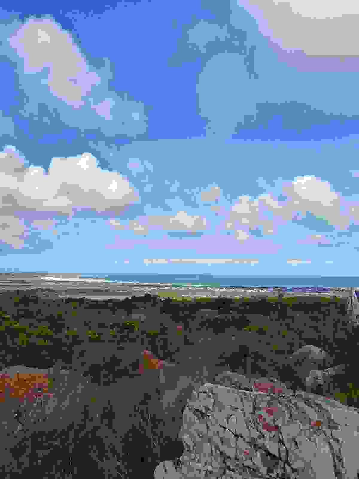 Section image