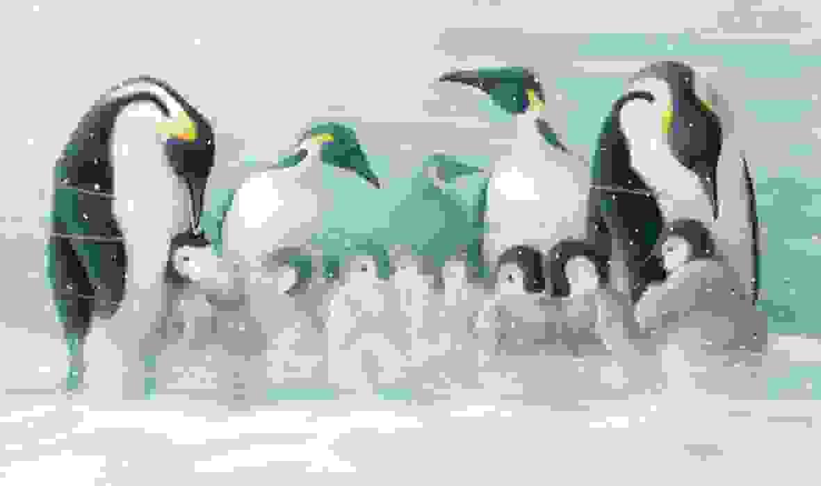 Section image